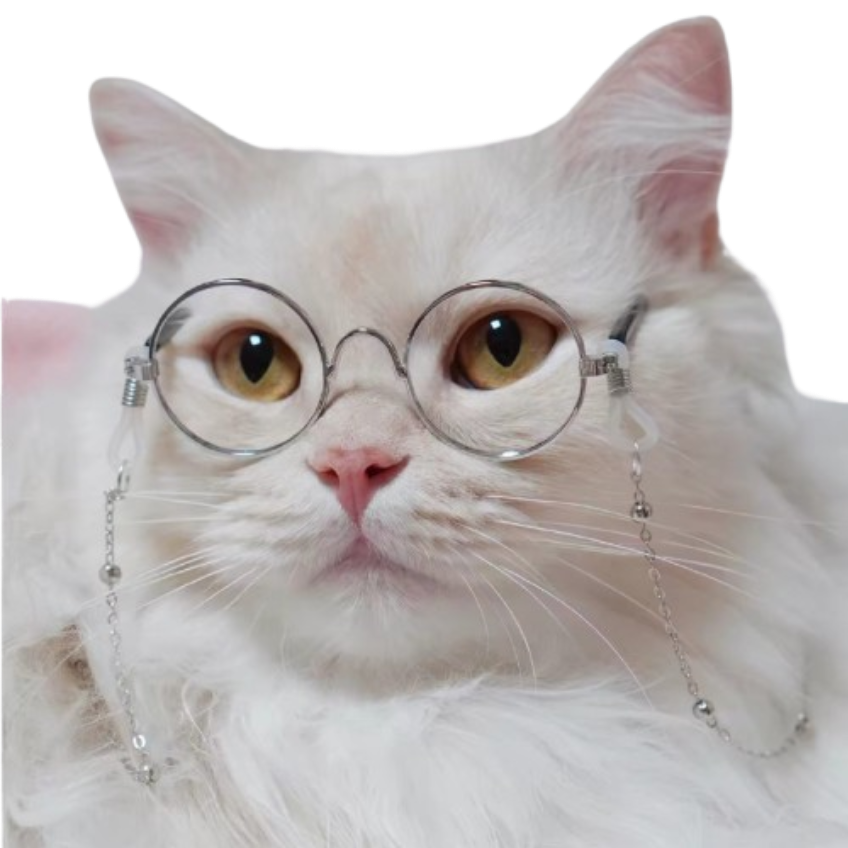 26e5c54a25f881fb9b19b29a004e5159