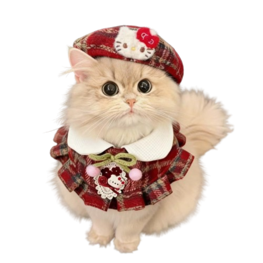 31eb33739731944b936a3e29f49cf0f5