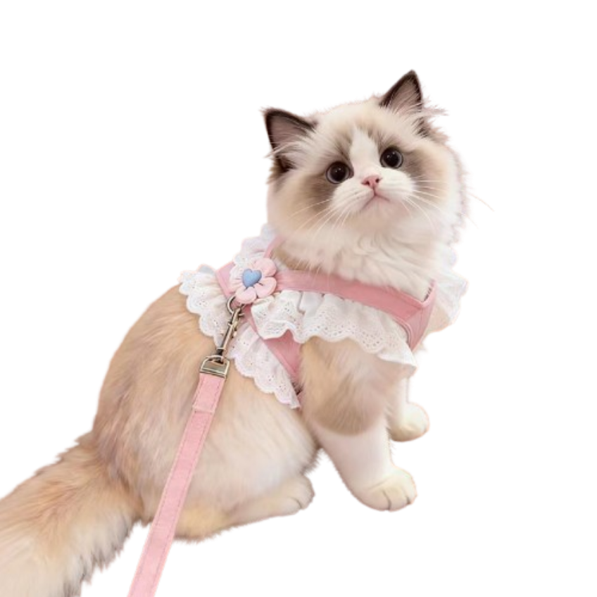 4562c4af56f8726f1e4f772fe452ce73