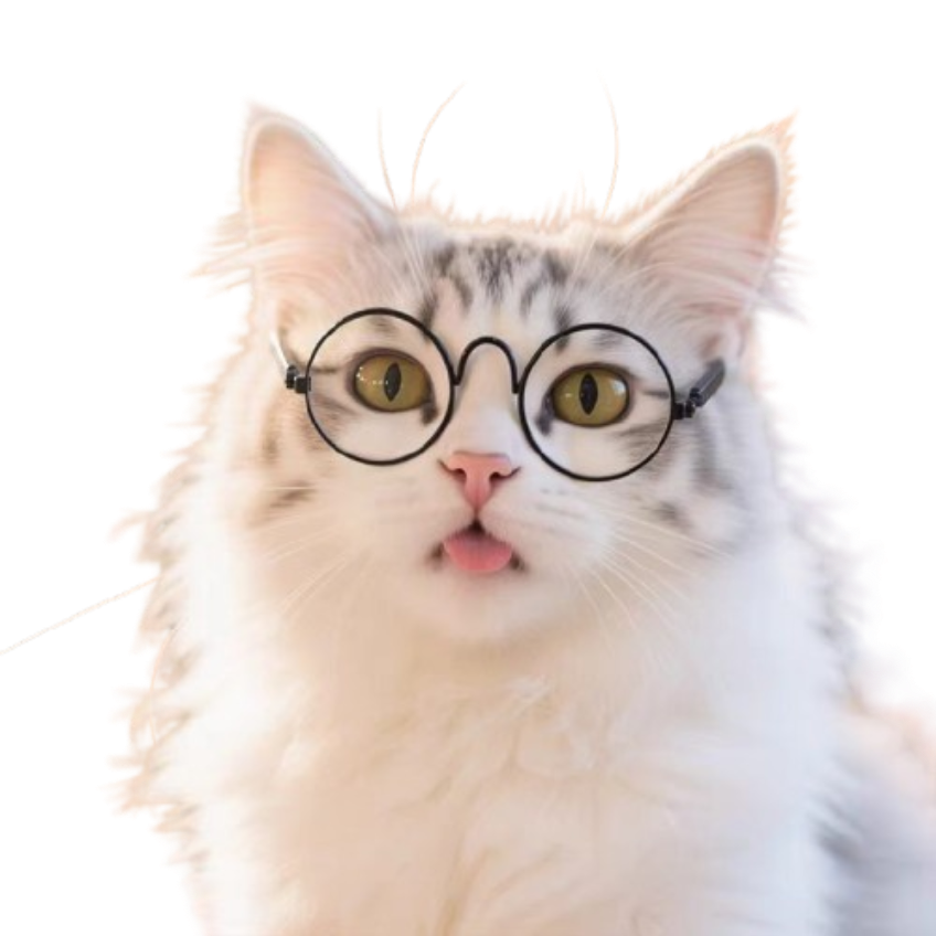 712cf1aae0a5b97deb4d7a135cc47e31