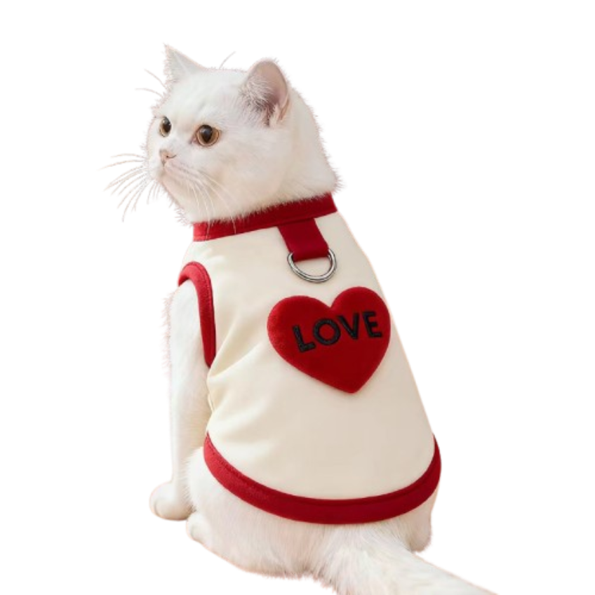 82a9d5906073518be61cf9f79f35210f