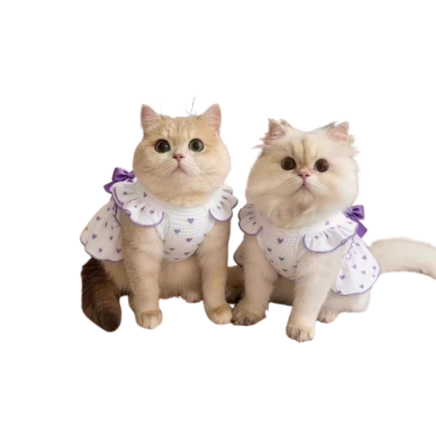 dea616e27e8ec2bca3535f4e3b035ccf