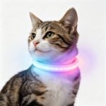 usb rechargeable led cat collar, waterproof light up safety collar for night walking, adjustable multicolor luminous collar for cats & small dogs